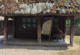  (photo)
