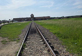  (photo)