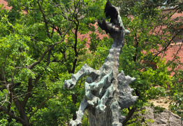  (photo)