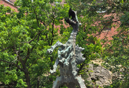  (photo)