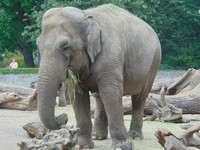 WYCIECZKA DO ZOO.